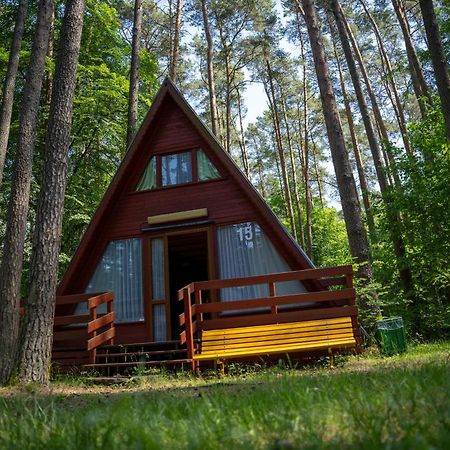 "Lesne Ustronie" Villa Byslaw Exterior foto