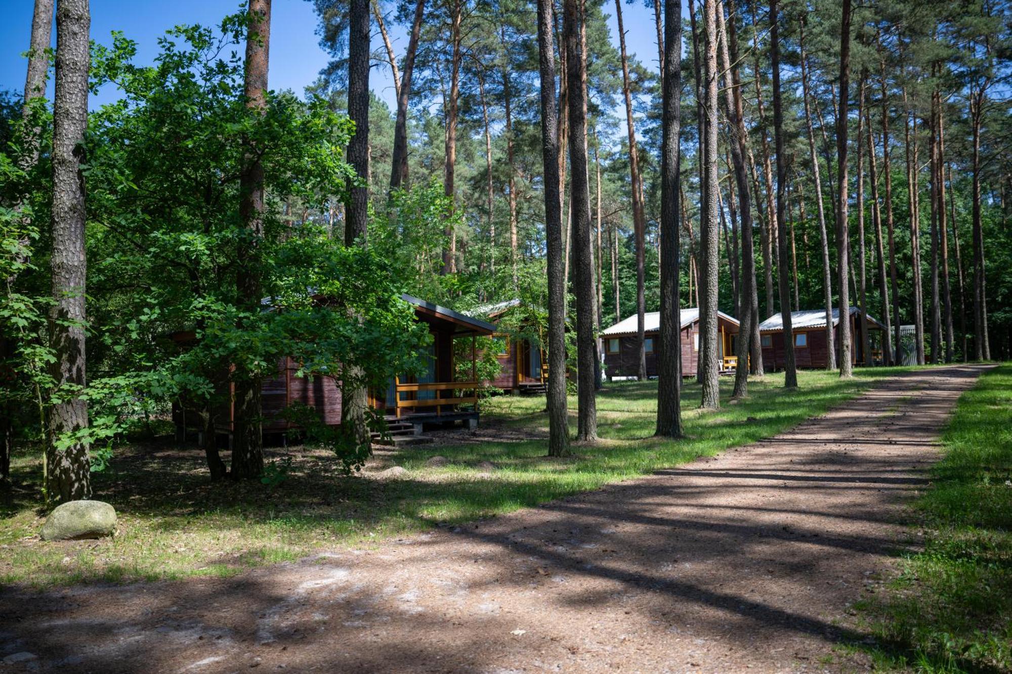 "Lesne Ustronie" Villa Byslaw Exterior foto