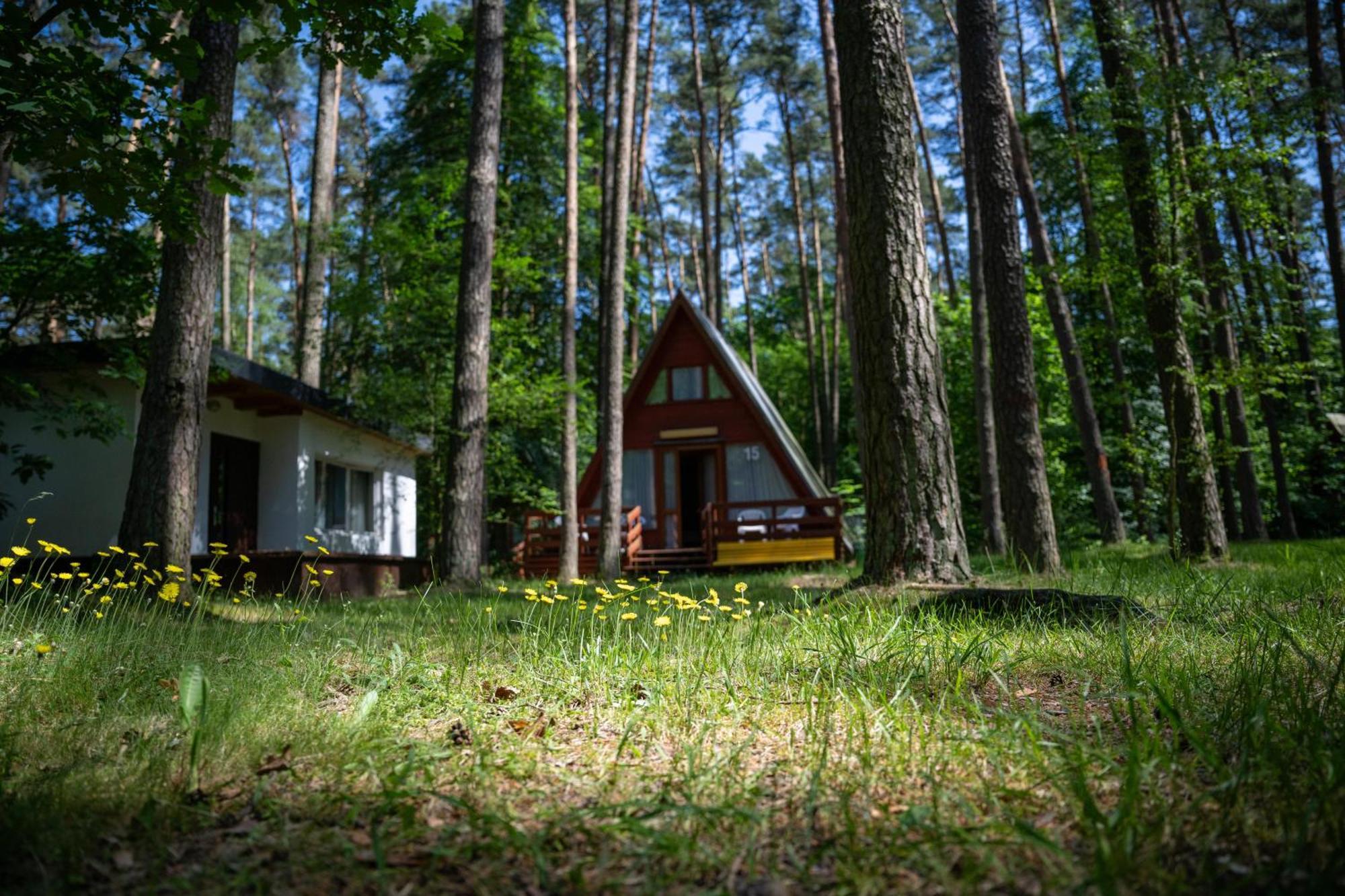 "Lesne Ustronie" Villa Byslaw Exterior foto